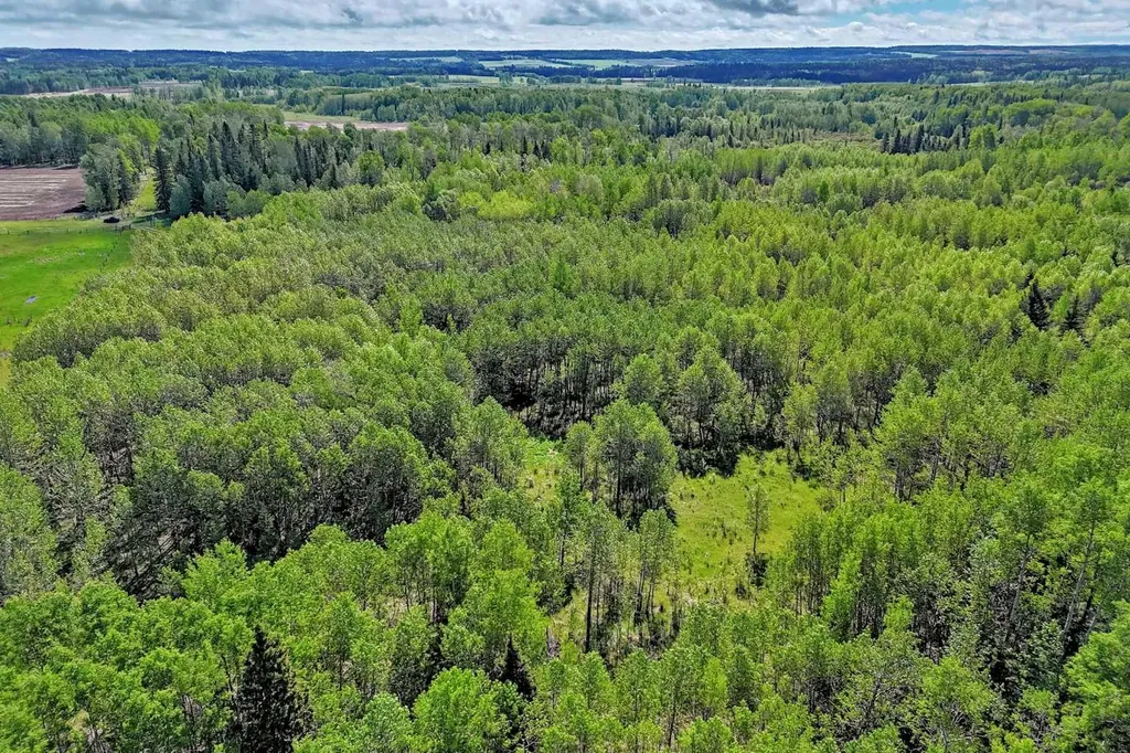5401 Township Road 312 Rural Mountain View County AB T0M 1X0