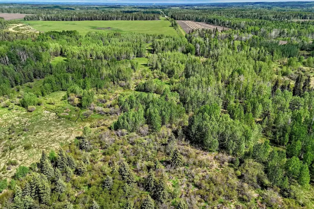 5401 Township Road 312 Rural Mountain View County AB T0M 1X0