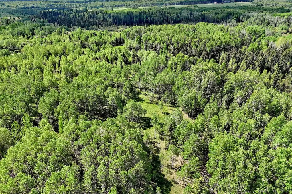 5401 Township Road 312 Rural Mountain View County AB T0M 1X0