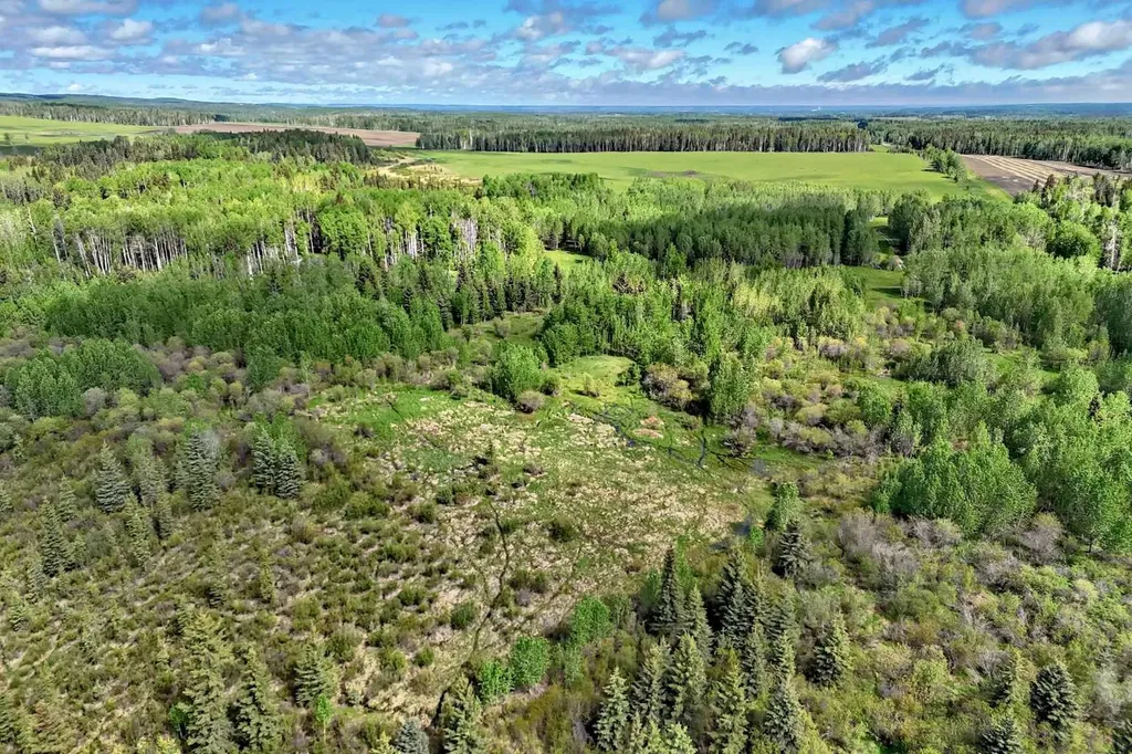 5401 Township Road 312 Rural Mountain View County AB T0M 1X0