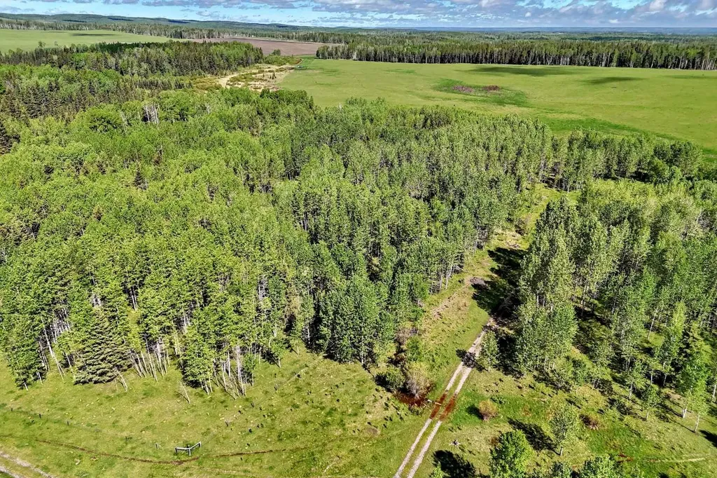 5401 Township Road 312 Rural Mountain View County AB T0M 1X0