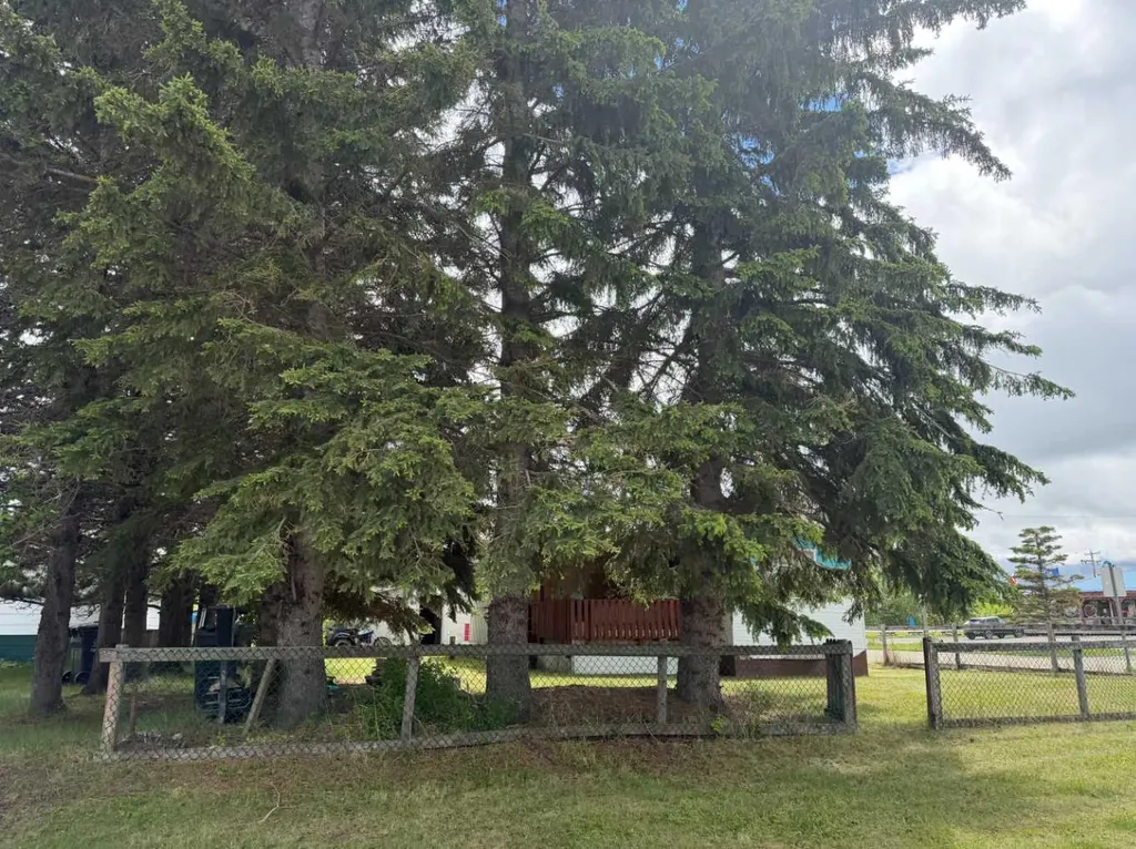 5139 51 Avenue Caroline AB T0M 0M0