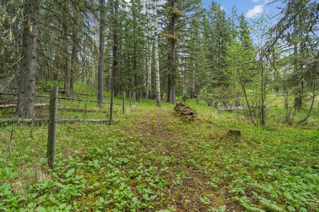 231028 Forestry Way Rural Rocky View County AB T0L 0K0