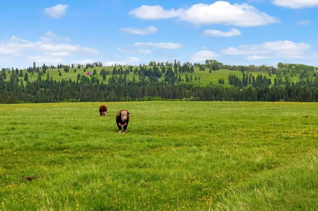224253 434 Avenue West Rural Foothills County AB T0L2A0