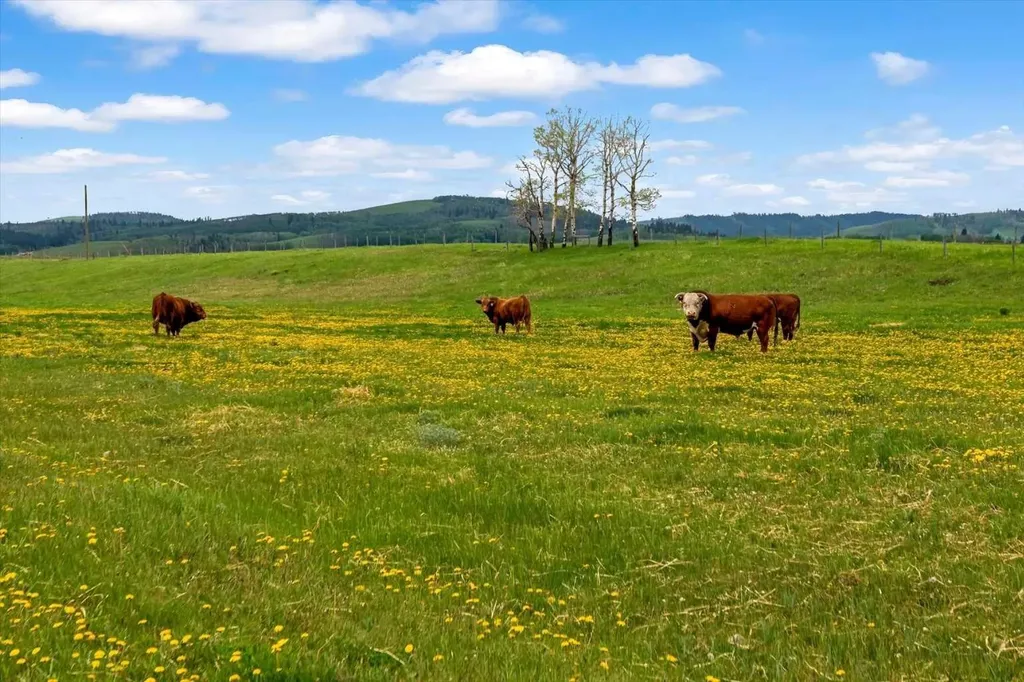 224253 434 Avenue West Rural Foothills County AB T0L2A0