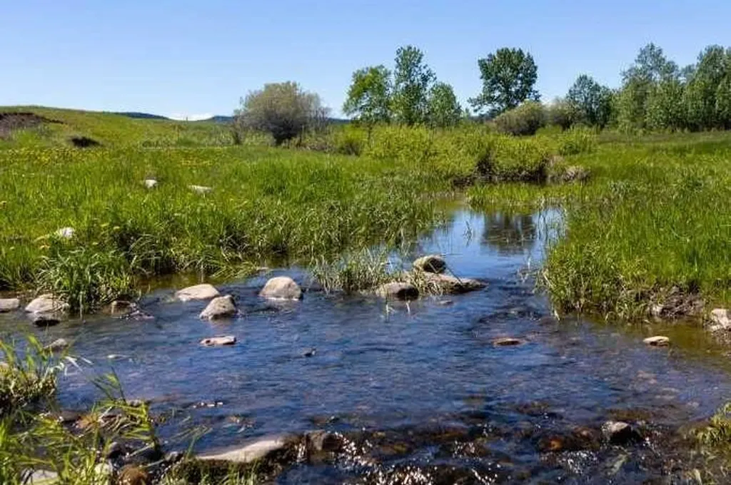 224253 434 Avenue West Rural Foothills County AB T0L2A0
