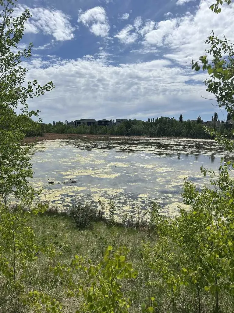 284 Rock Lake Drive NW Calgary AB T3G 5Z4