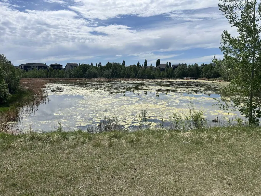 284 Rock Lake Drive NW Calgary AB T3G 5Z4