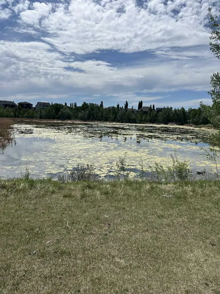 284 Rock Lake Drive NW Calgary AB T3G 5Z4