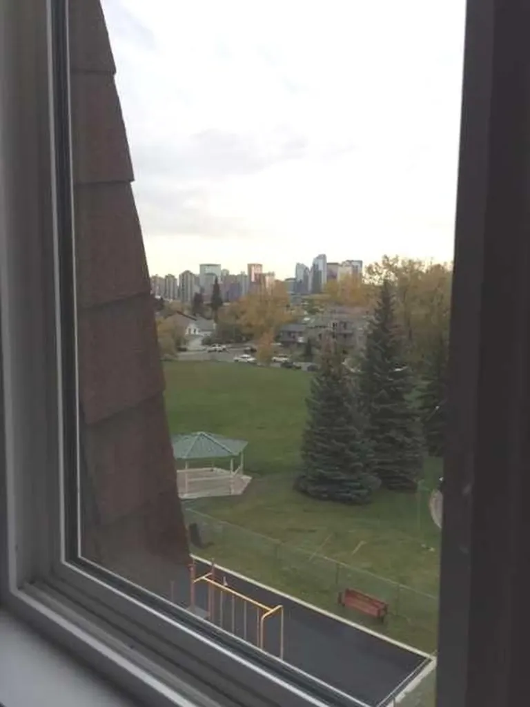 2508 17 Street SW Calgary AB T2T 4M8