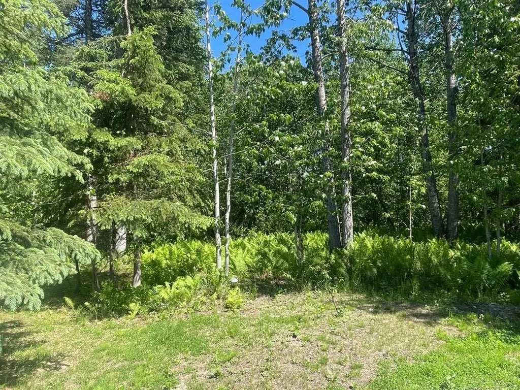 Lot 100 Willow Drive Grouard AB T0G 1C0