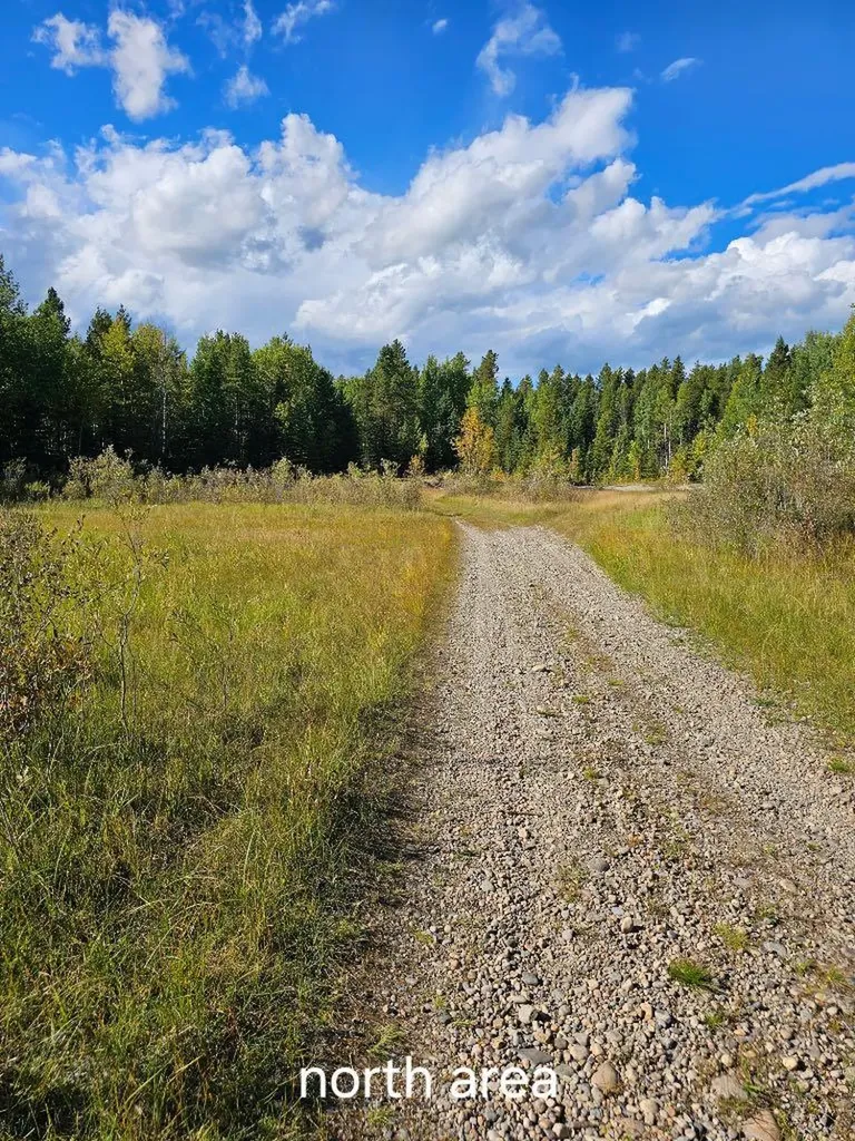 Pine Ridge Drive Rural Clearwater County AB T4T 1A7