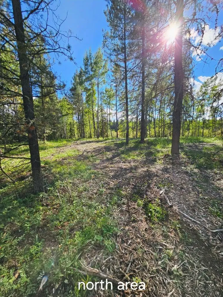 Pine Ridge Drive Rural Clearwater County AB T4T 1A7