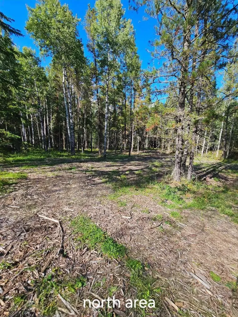 Pine Ridge Drive Rural Clearwater County AB T4T 1A7