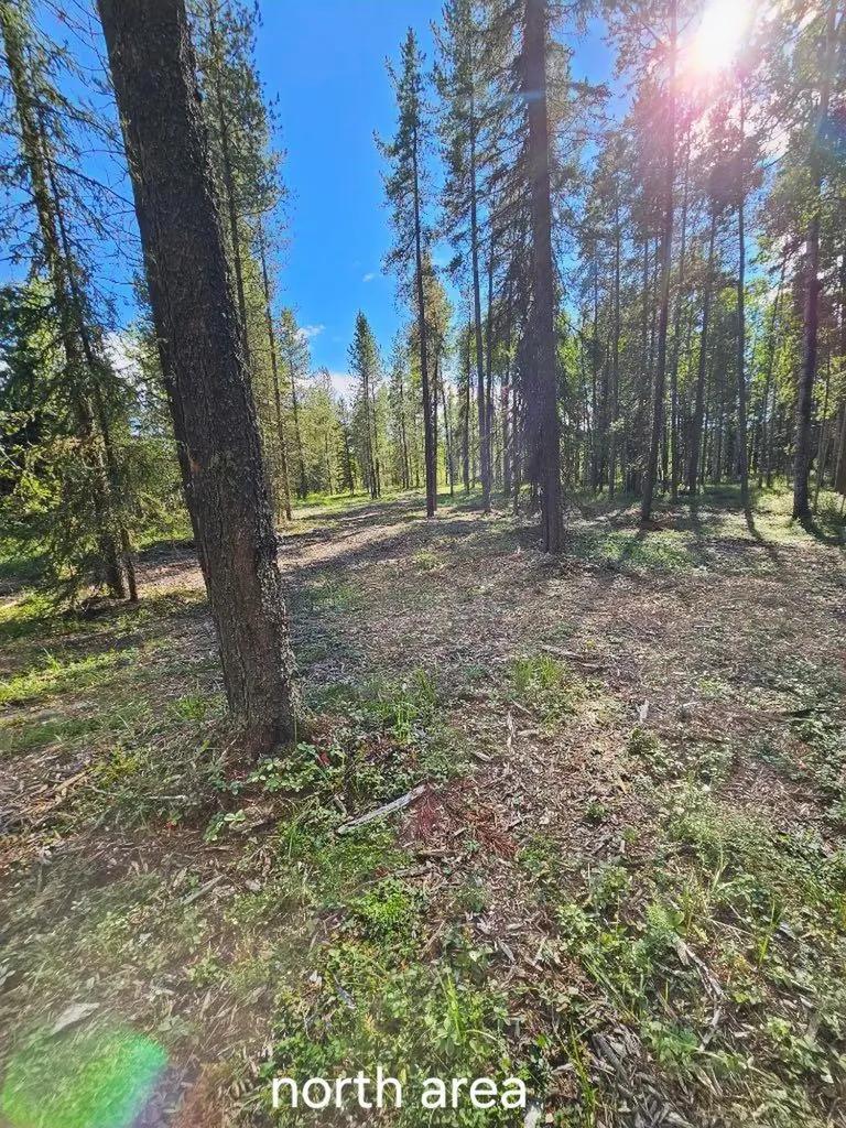 Pine Ridge Drive Rural Clearwater County AB T4T 1A7