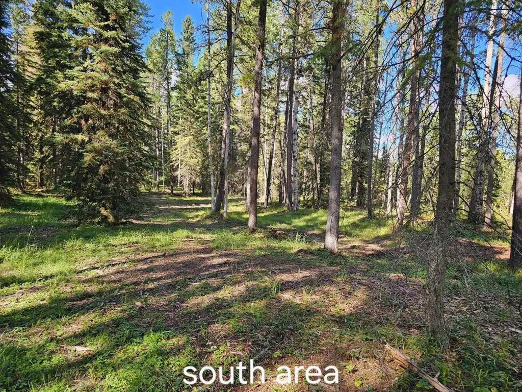 Pine Ridge Alley Rural Clearwater County AB T4T 1A7