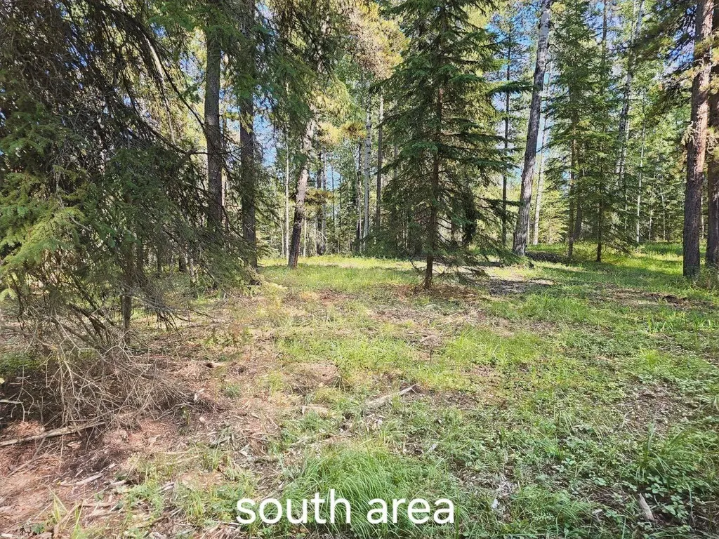 Pine Ridge Alley Rural Clearwater County AB T4T 1A7
