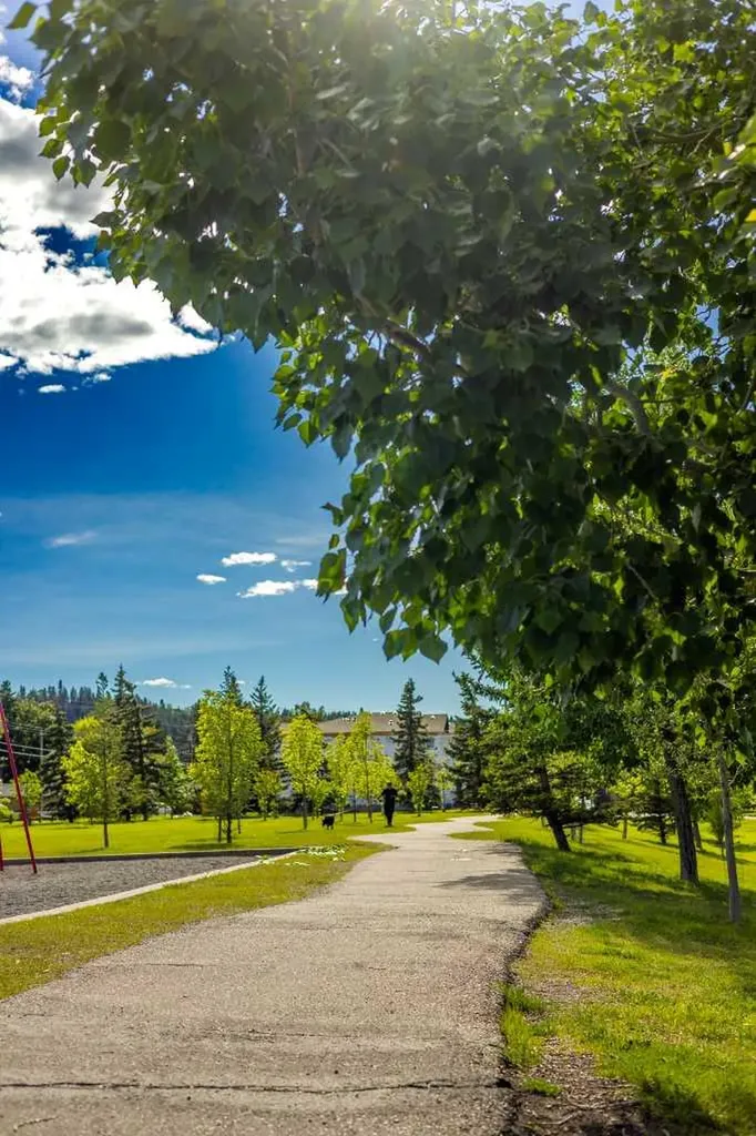 2719 5 Avenue NW Calgary AB T2N 0T9