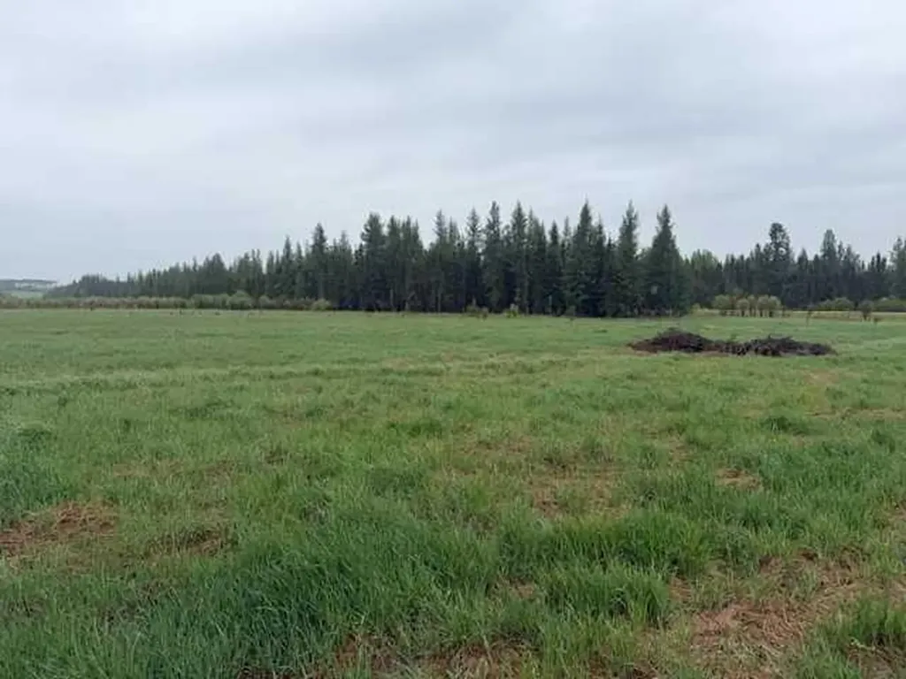 694009 44 Highway Rural Lesser Slave River No. 124 M.d. Of AB T0G 2B0