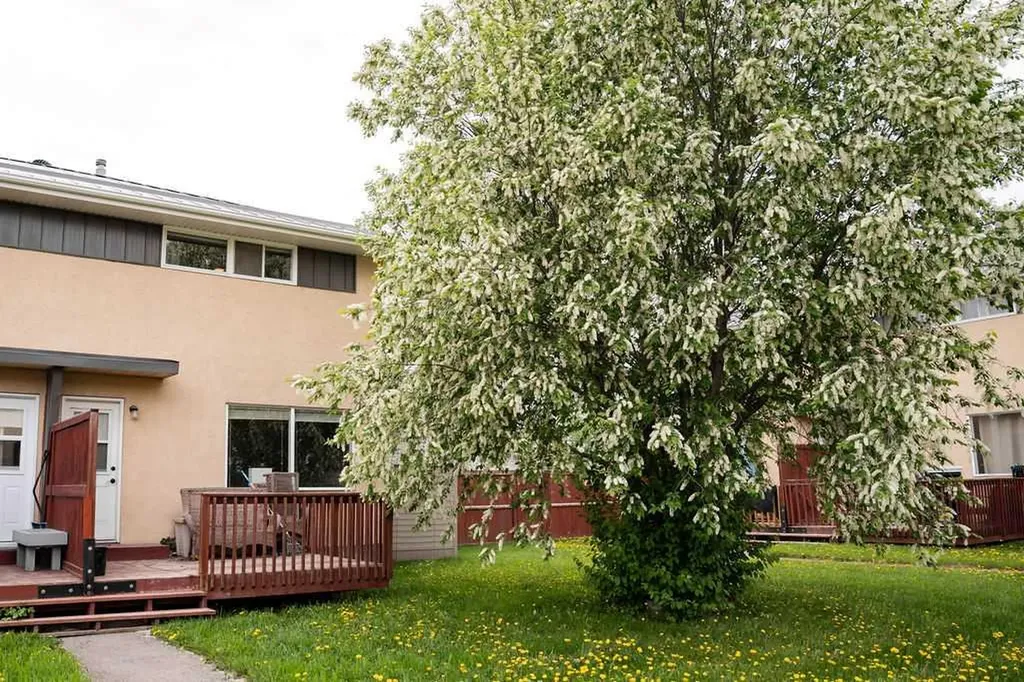 126 Hardisty Avenue Hinton AB T7V 1B6