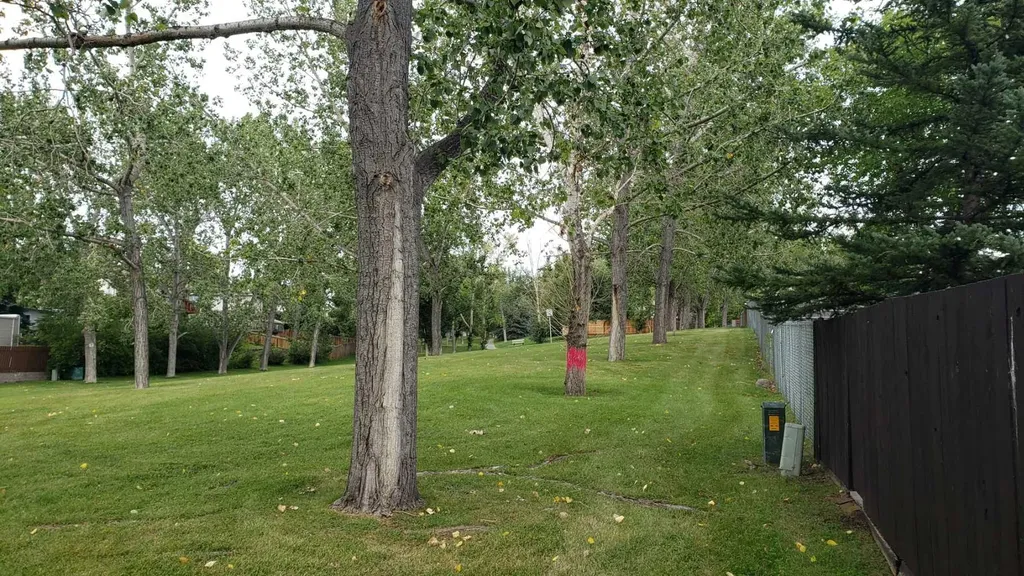 5803 Dalgleish Road NW Calgary AB T3A 1K4