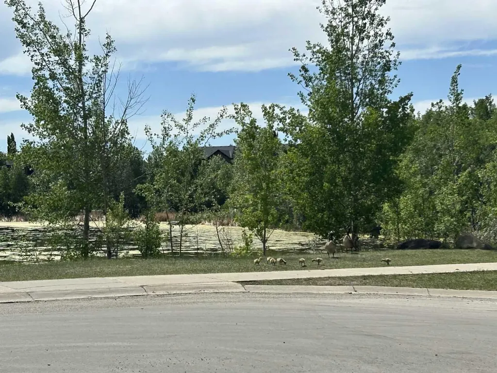 64 Rockyvale Drive NW Calgary AB T3G 5Z4