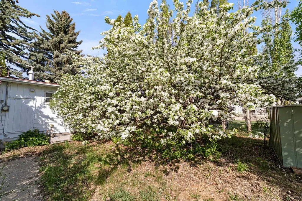 4911 54 Avenue Viking AB T0B 4N0