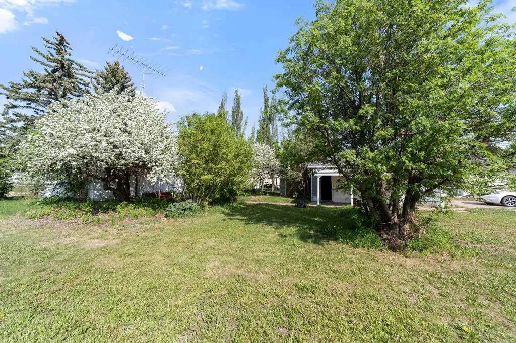 4911 54 Avenue Viking AB T0B 4N0