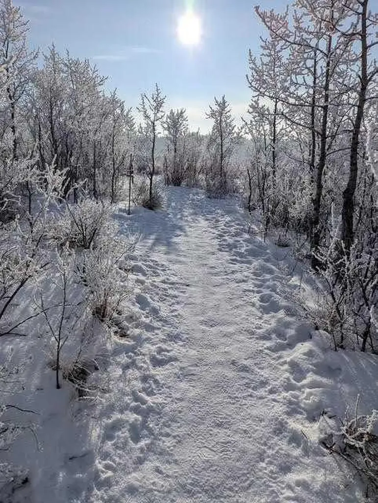 207 Sunset Drive Cochrane AB T4C 0H7