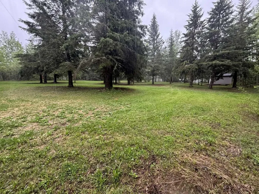165052 165052 Corner Wandering River AB T0A 3M0