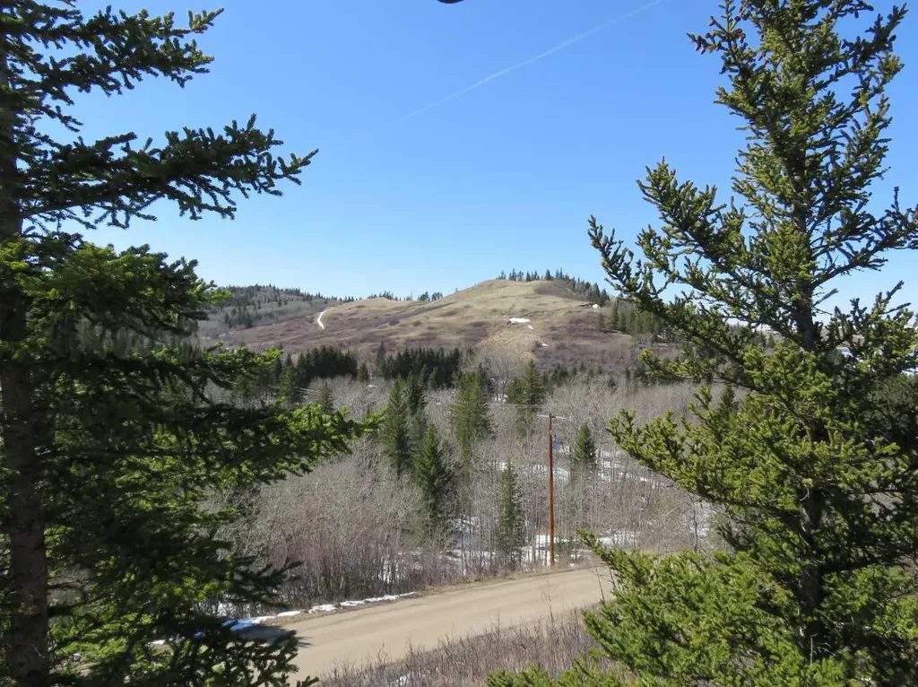26 Lakeview Drive Rural Cypress County AB T0J1C0