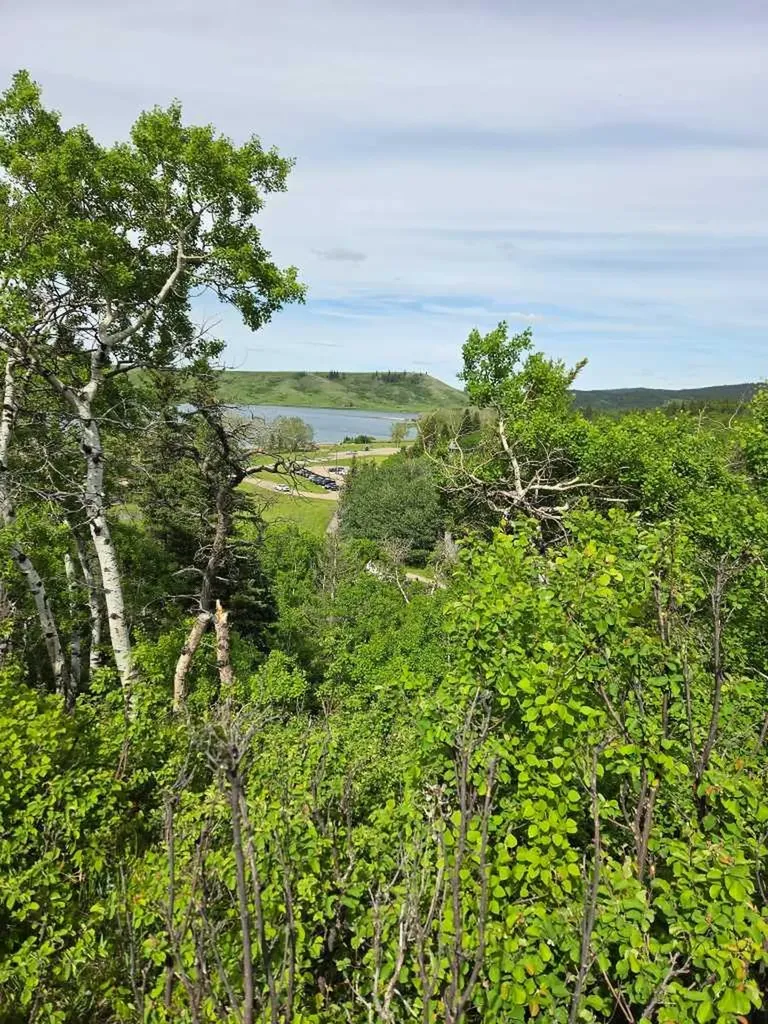 26 Lakeview Drive Rural Cypress County AB T0J1C0