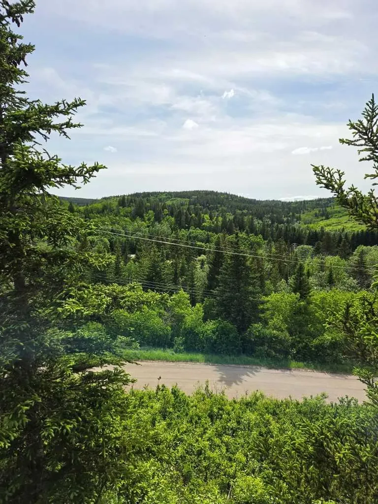 26 Lakeview Drive Rural Cypress County AB T0J1C0