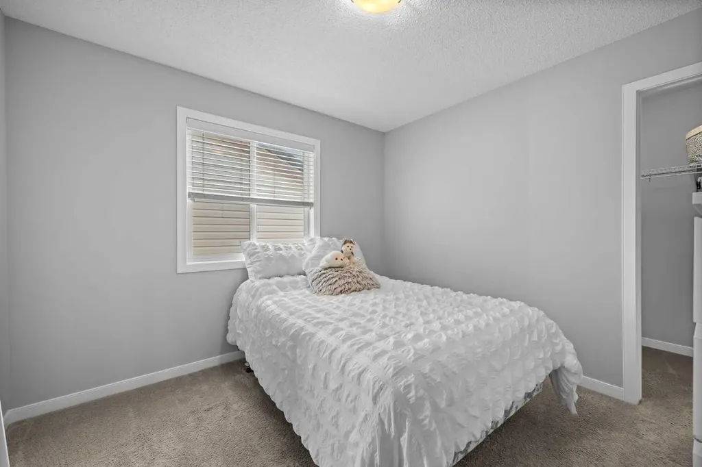 249 Auburn Meadows Place SE Calgary AB T3M 2H6