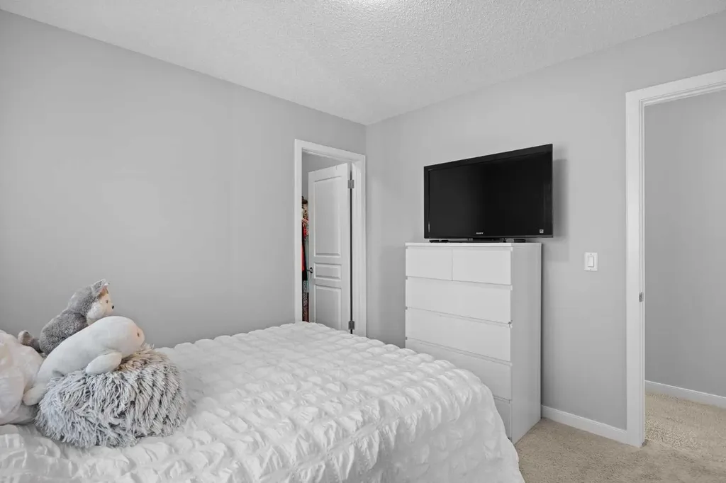 249 Auburn Meadows Place SE Calgary AB T3M 2H6