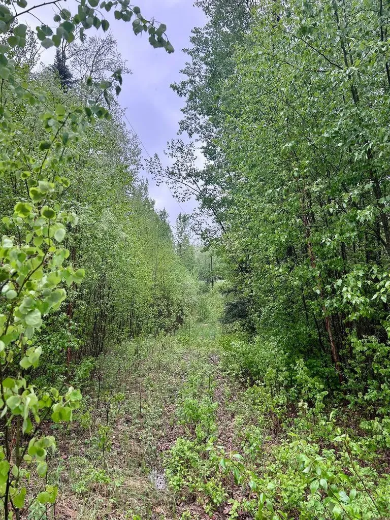 67458 Mcgrane Road Lac La Biche AB T0A2C0