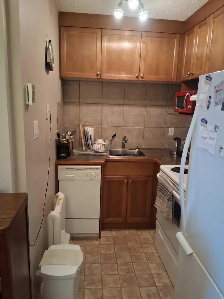 2004 13 Avenue N Lethbridge AB T1H 5B1