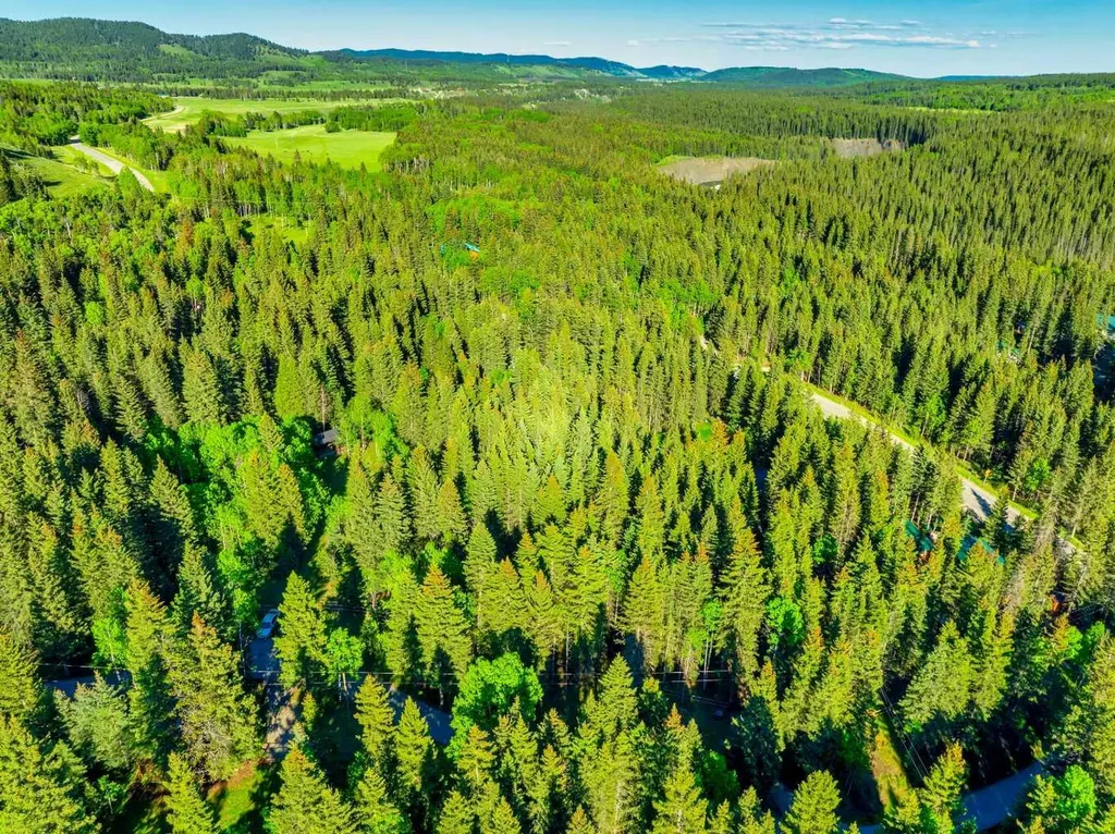 13 Chickadee Road Waiparous AB T0L 1N0