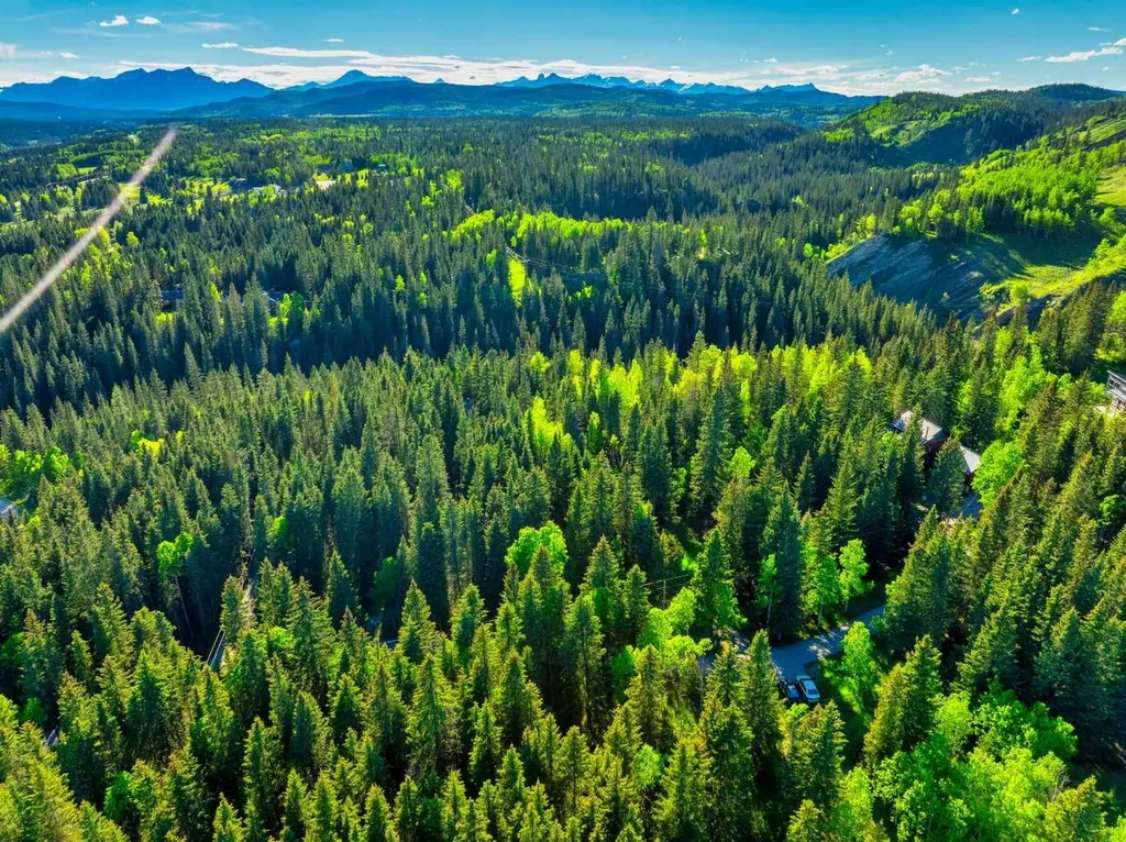 13 Chickadee Road Waiparous AB T0L 1N0