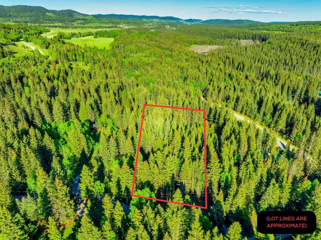 13 Chickadee Road Waiparous AB T0L 1N0