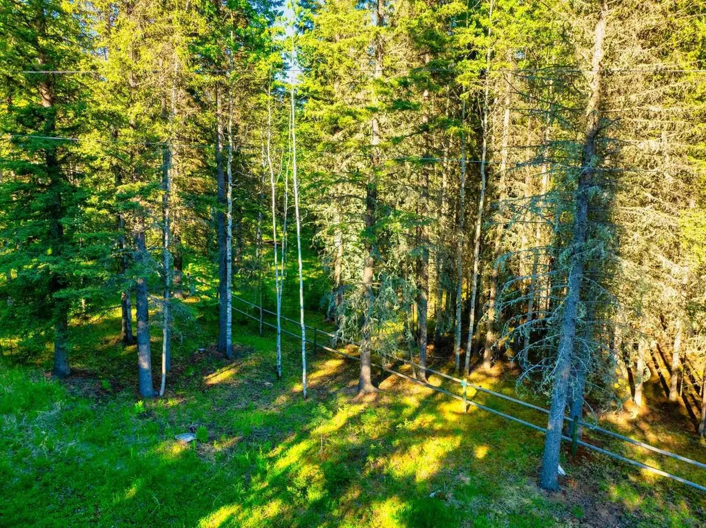 13 Chickadee Road Waiparous AB T0L 1N0