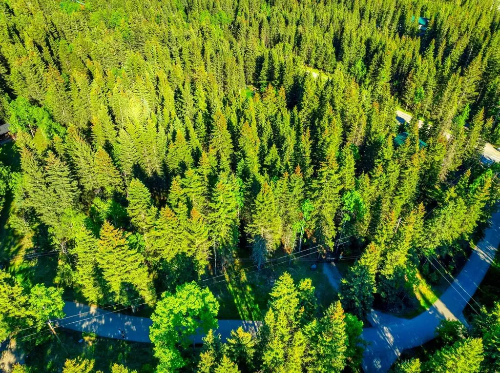 13 Chickadee Road Waiparous AB T0L 1N0