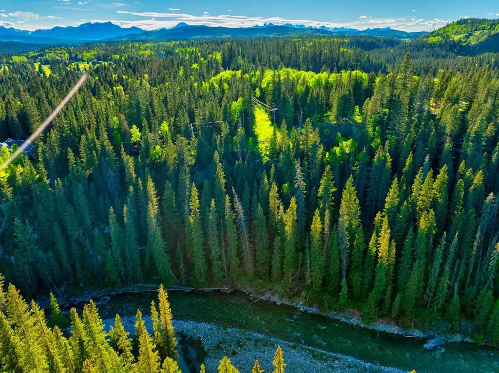 13 Chickadee Road Waiparous AB T0L 1N0
