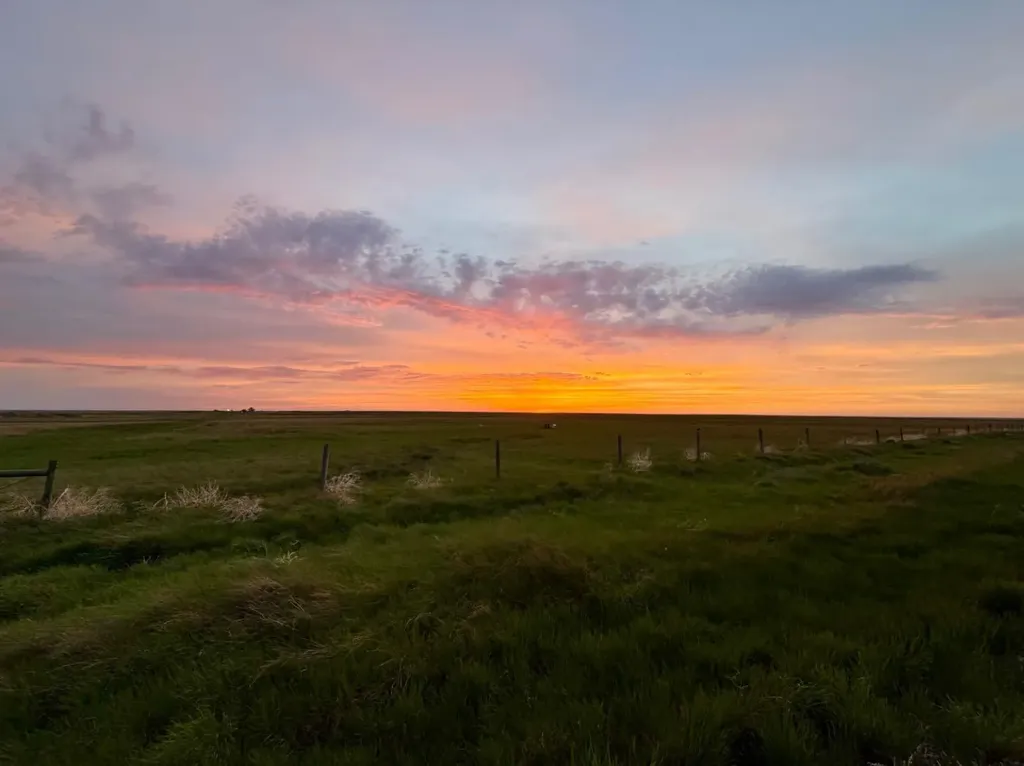 14017 Range Road 65 Rural Cypress County AB T0J 2P0
