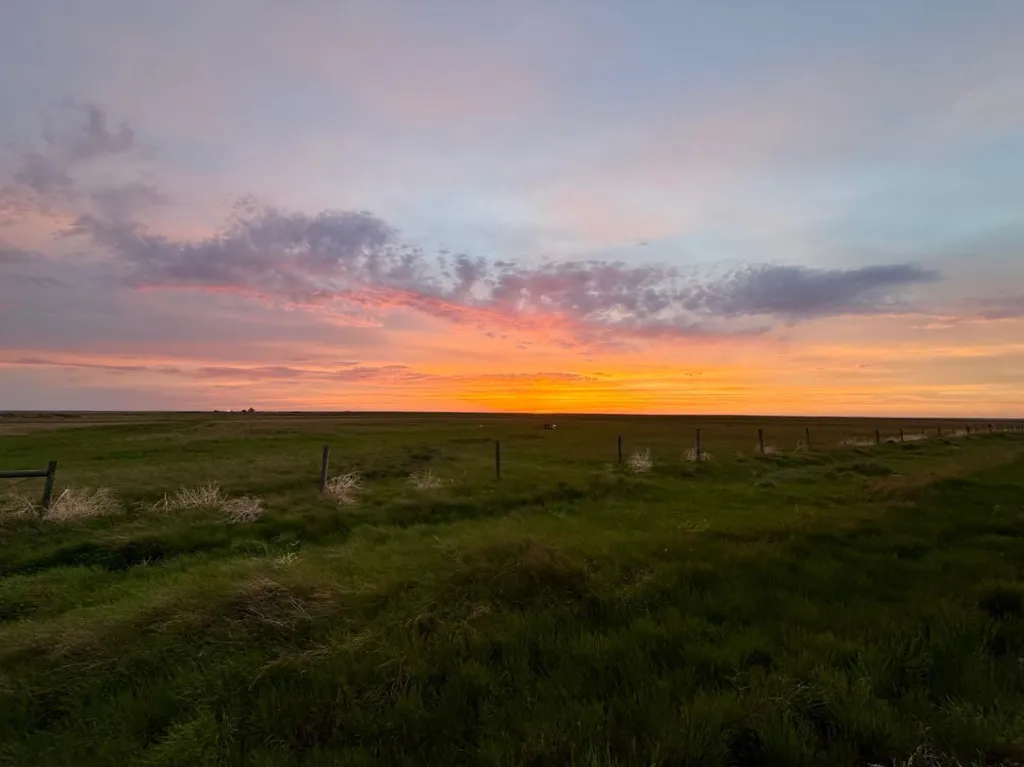 14017 Range Road 65 Rural Cypress County AB T0J 2P0