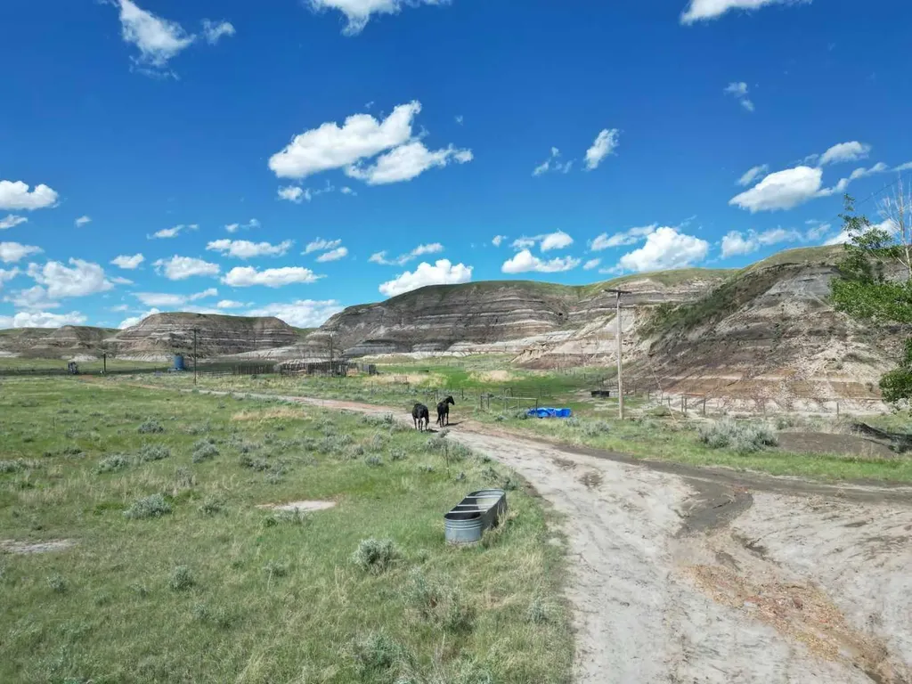 Highway 10 East Drumheller AB T0J0Y0