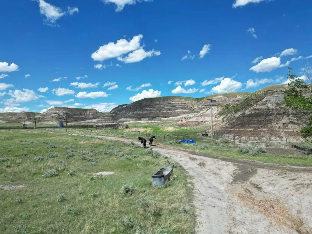 Highway 10 East Drumheller AB T0J0Y0