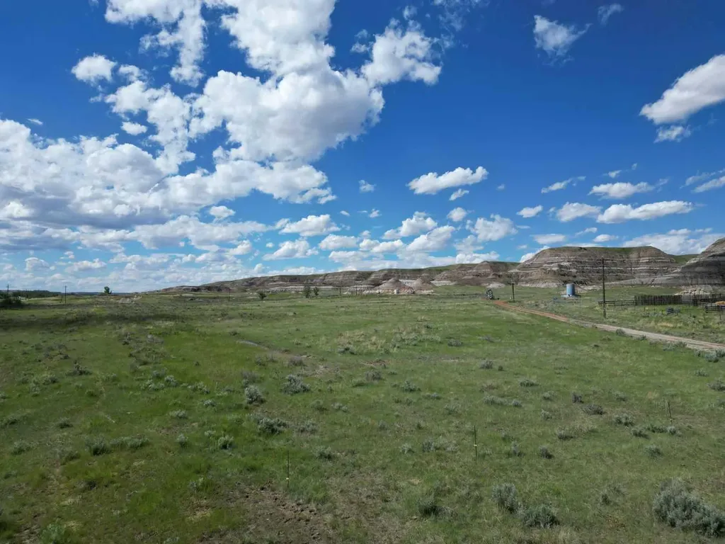 Highway 10 East Drumheller AB T0J0Y0