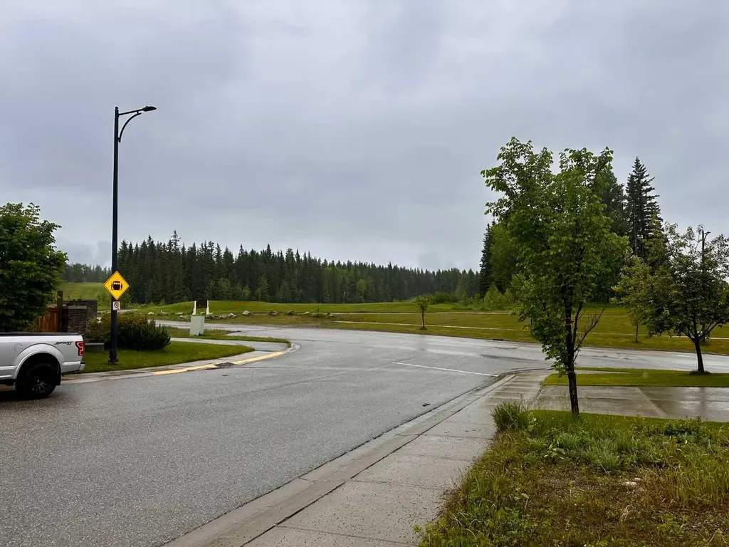 103 Lupin Way Hinton AB T7V 0B2