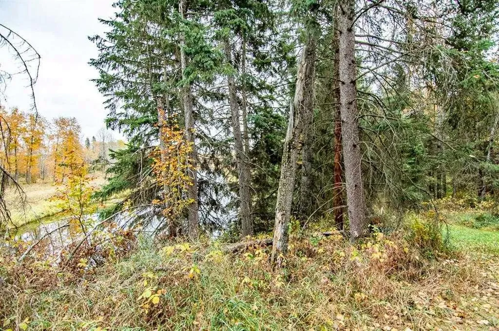 40523 Range Road 14 Rural Lacombe County AB T0C 0J0